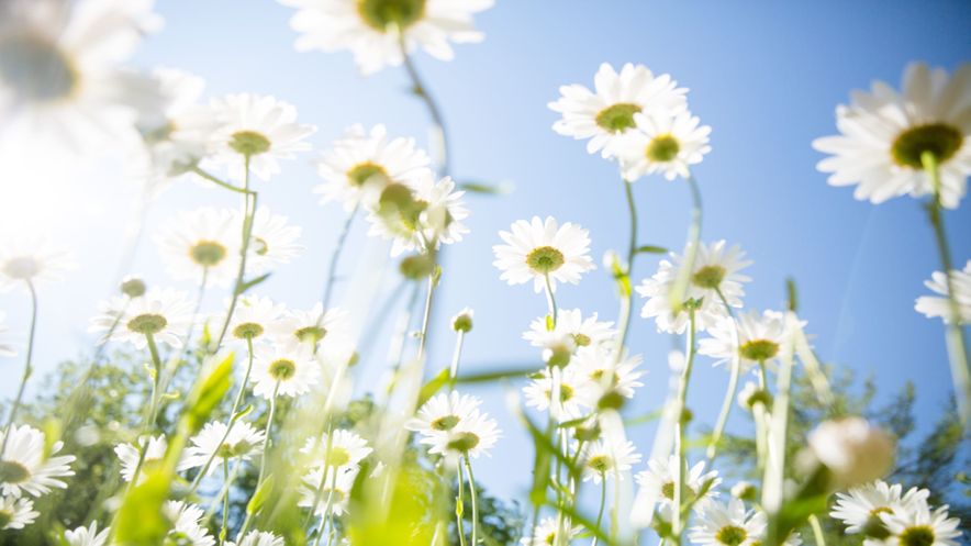 Naturopathic image1